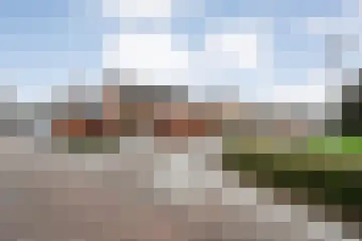 Acaciastraat 1 A Nieuwleusen thumbnail 42