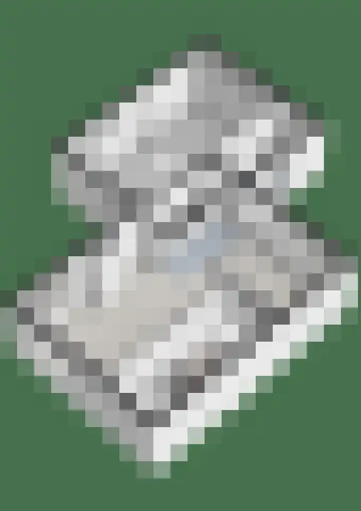 Acaciastraat 1 A Nieuwleusen thumbnail 49