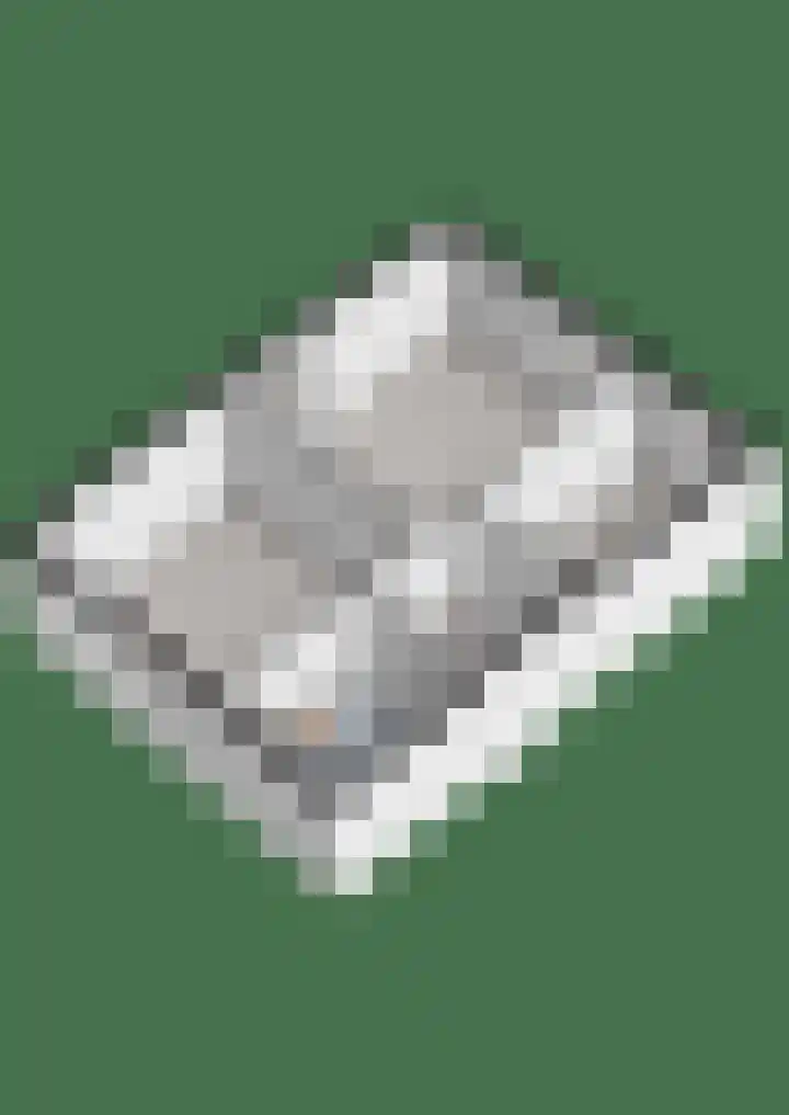 Acaciastraat 1 A Nieuwleusen thumbnail 50