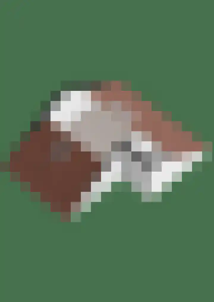 Acaciastraat 1 A Nieuwleusen thumbnail 52
