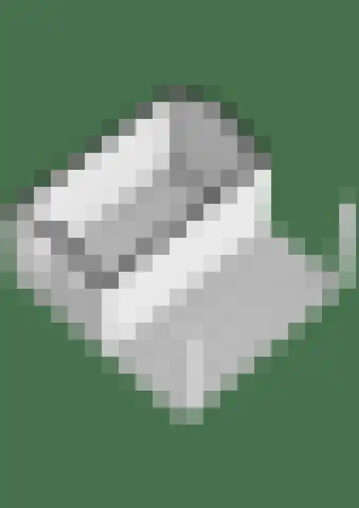Acaciastraat 1 A Nieuwleusen thumbnail 53