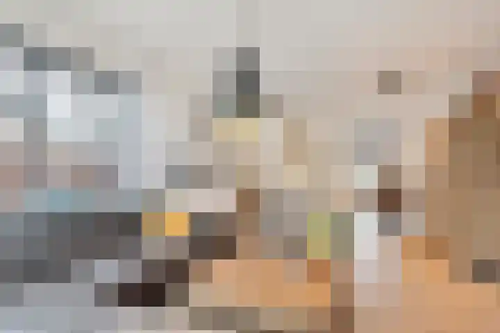 Acaciastraat 1 A Nieuwleusen thumbnail 8