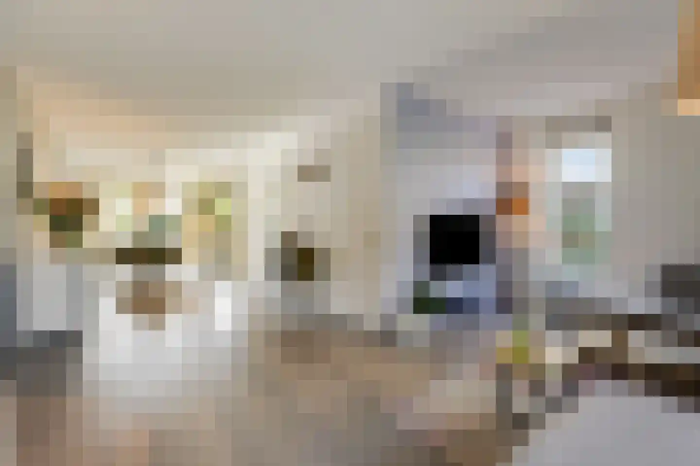 Acaciastraat 1 A Zevenaar thumbnail 20