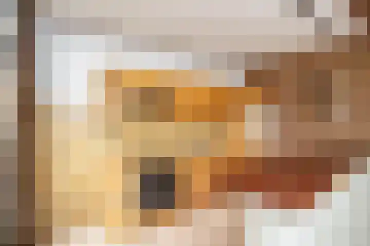 Acaciastraat 1 Utrecht thumbnail 7