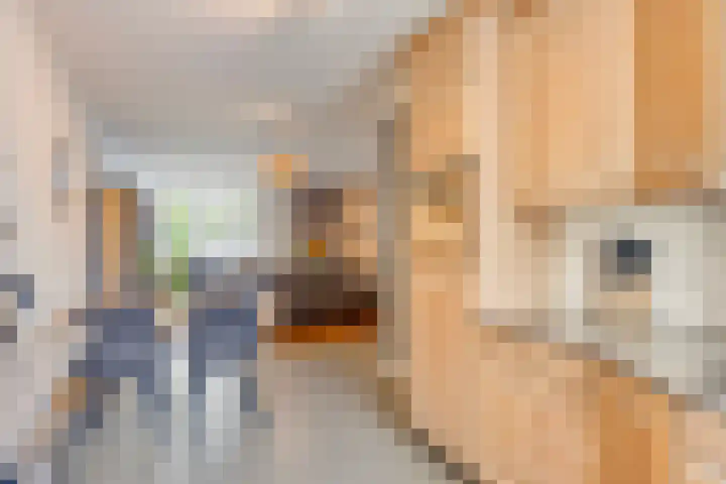 Acaciastraat 10 Geffen thumbnail 15