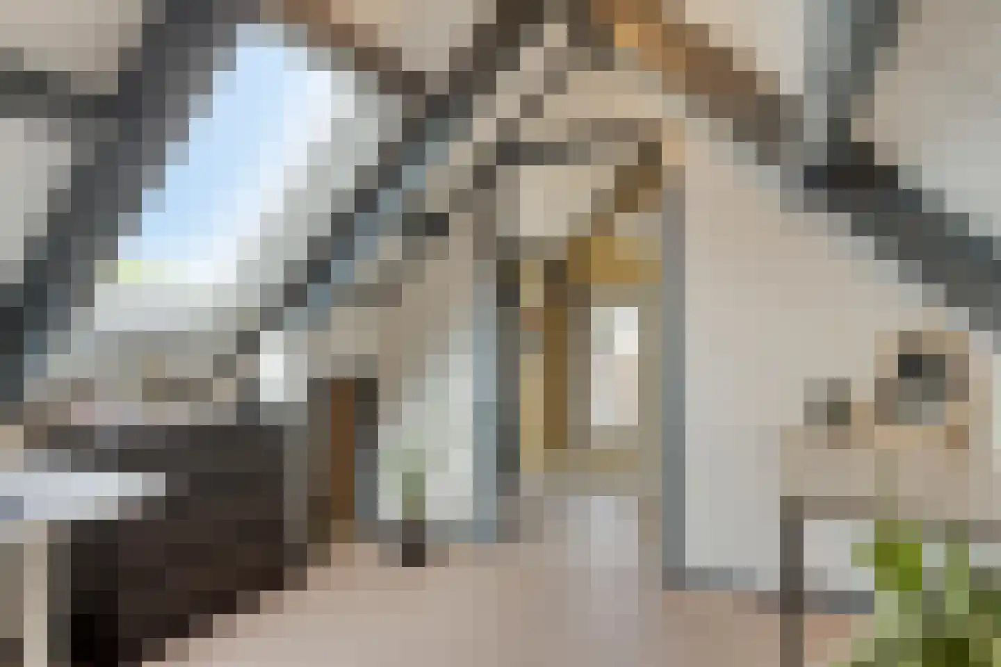 Acaciastraat 10 Geffen thumbnail 27