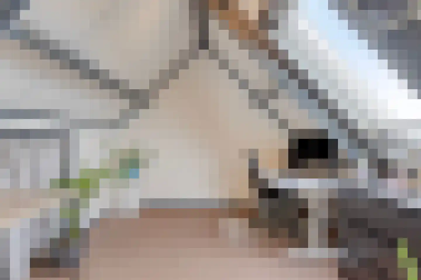 Acaciastraat 10 Geffen thumbnail 29