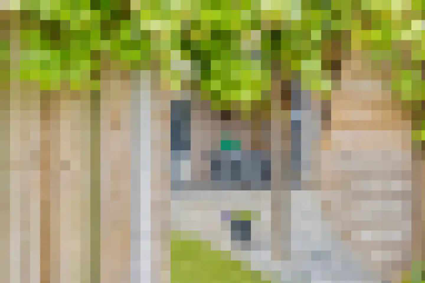 Acaciastraat 10 Geffen thumbnail 34