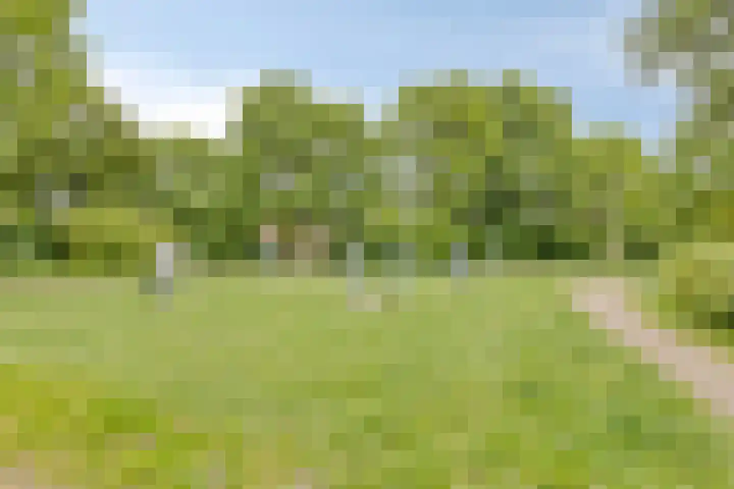 Acaciastraat 10 Geffen thumbnail 39