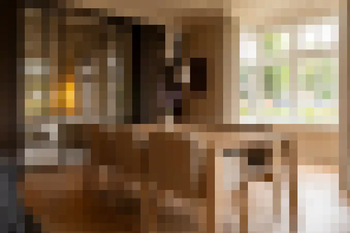 Acaciastraat 11 Opheusden thumbnail 10