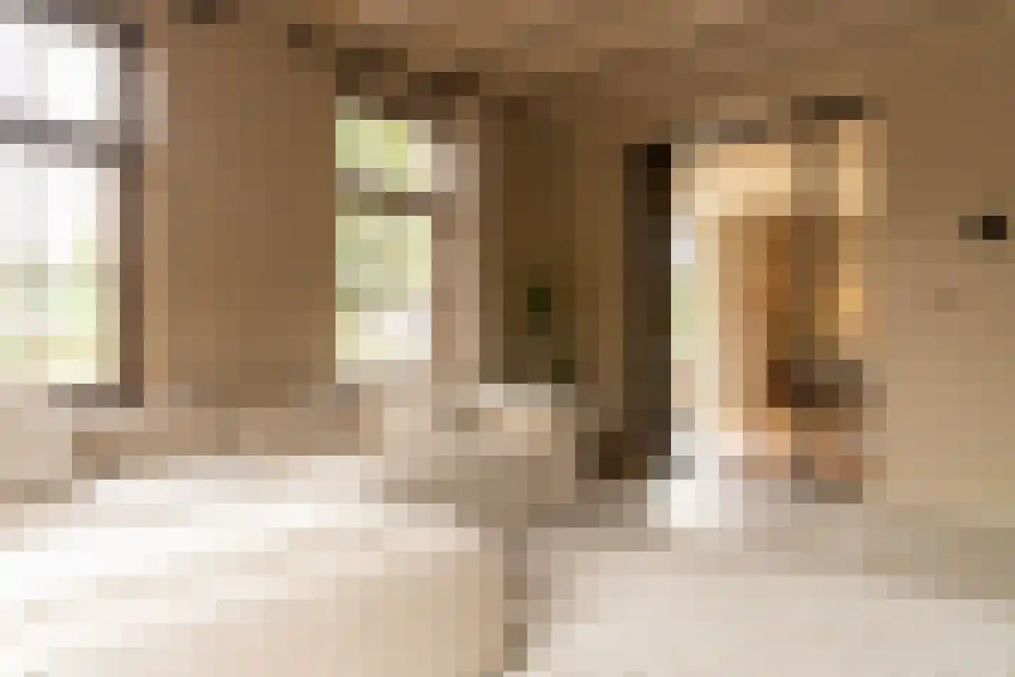 Acaciastraat 11 Opheusden thumbnail 12