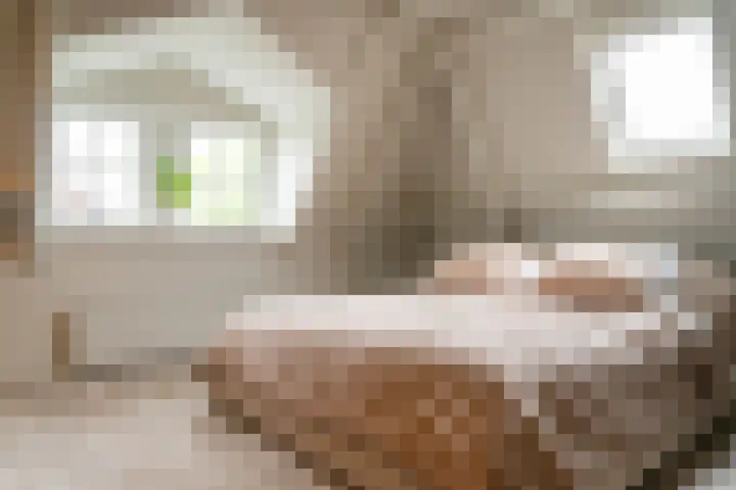 Acaciastraat 11 Opheusden thumbnail 20
