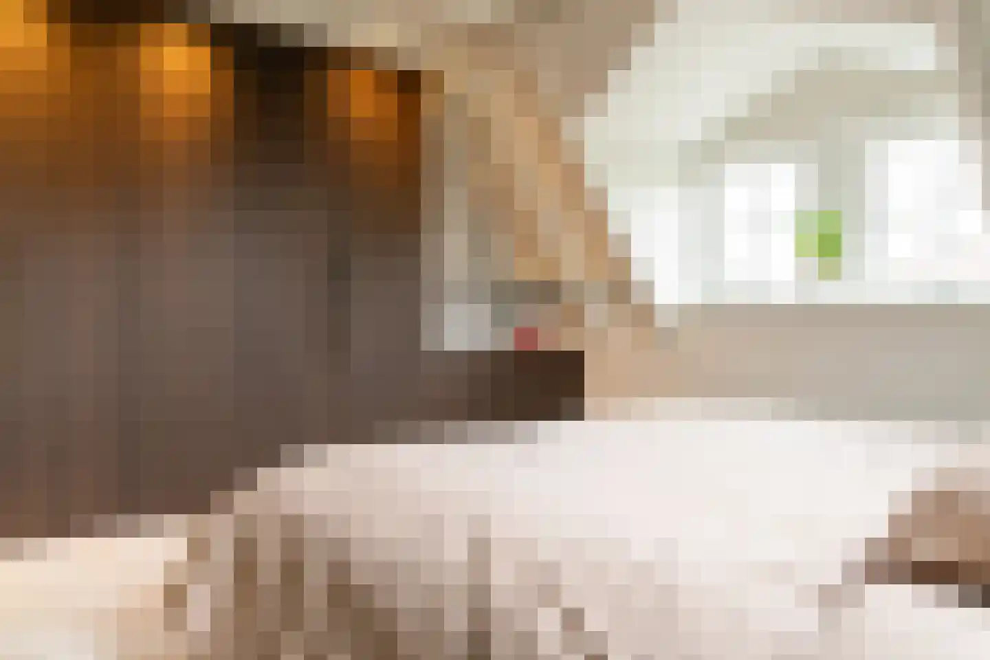 Acaciastraat 11 Opheusden thumbnail 21