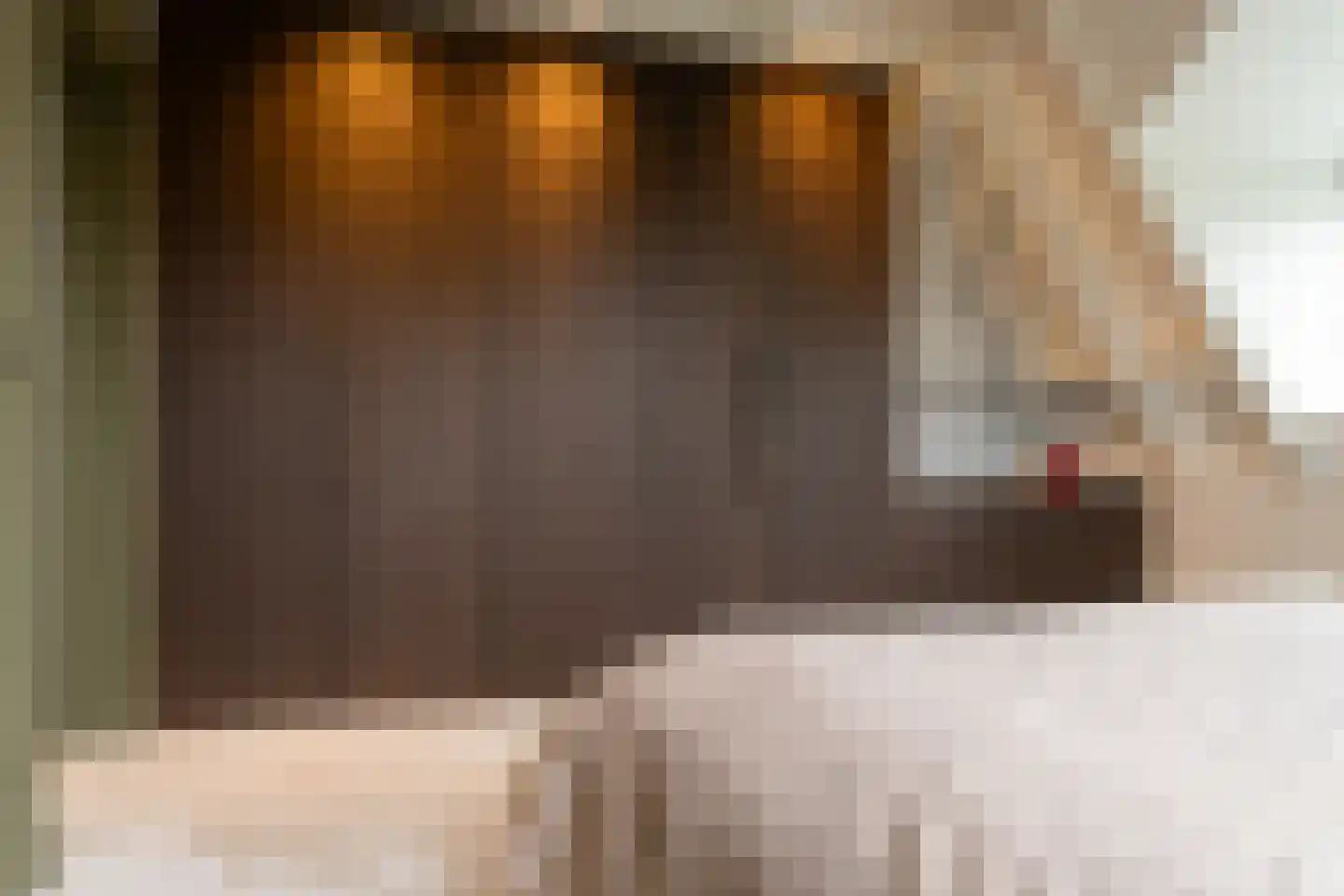 Acaciastraat 11 Opheusden thumbnail 22