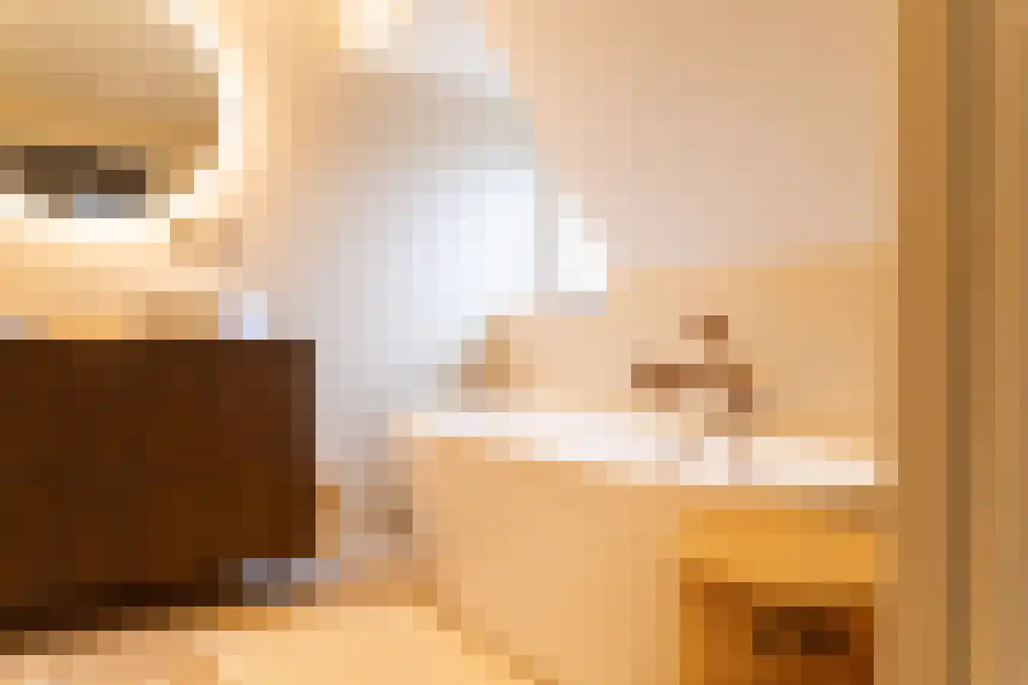 Acaciastraat 11 Opheusden thumbnail 28