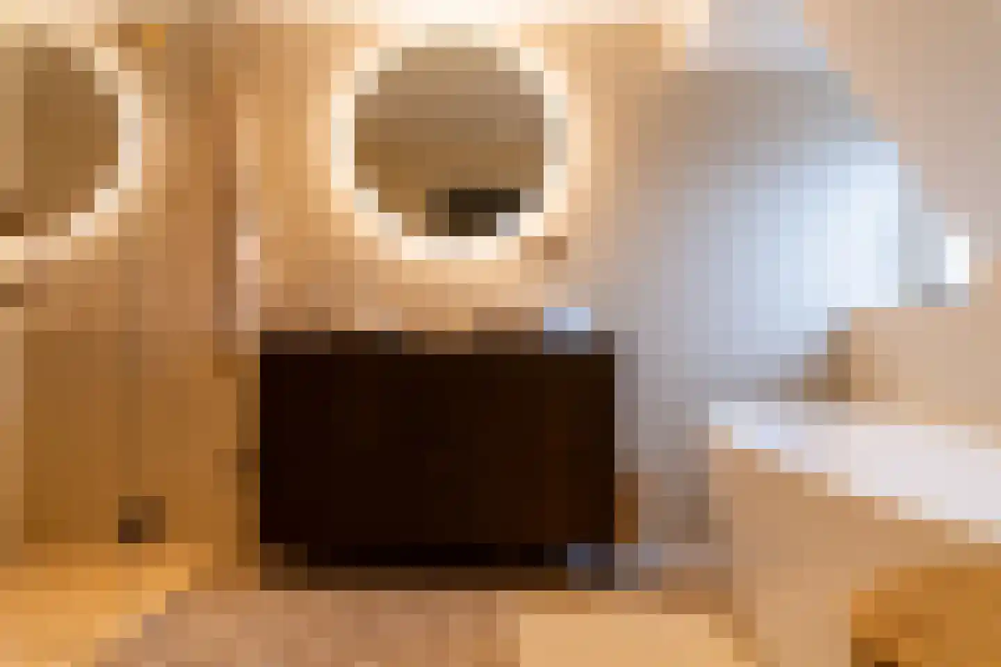 Acaciastraat 11 Opheusden thumbnail 29