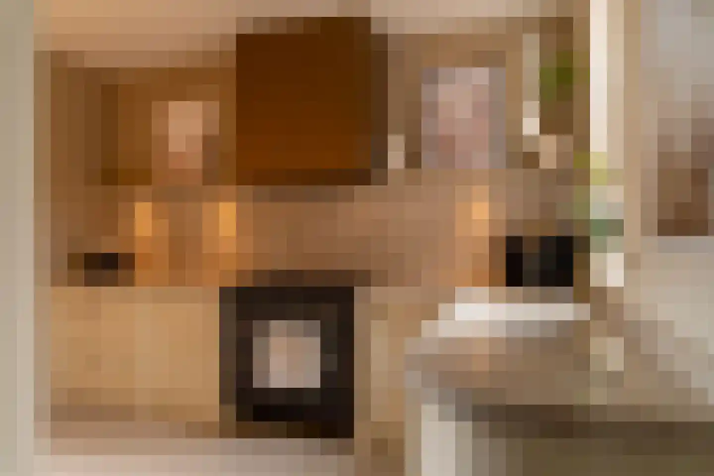 Acaciastraat 11 Opheusden thumbnail 4