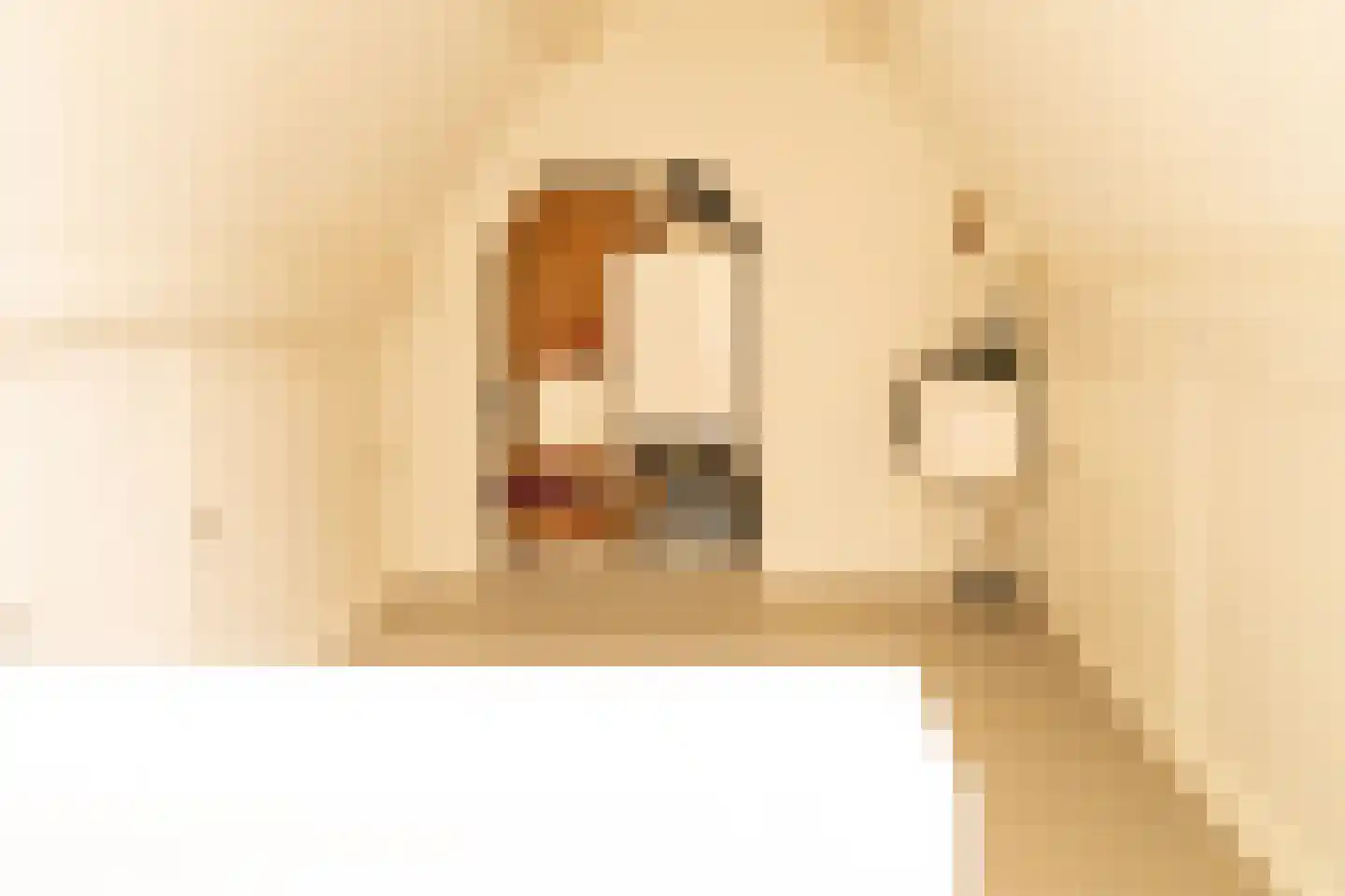 Acaciastraat 11 Opheusden thumbnail 46