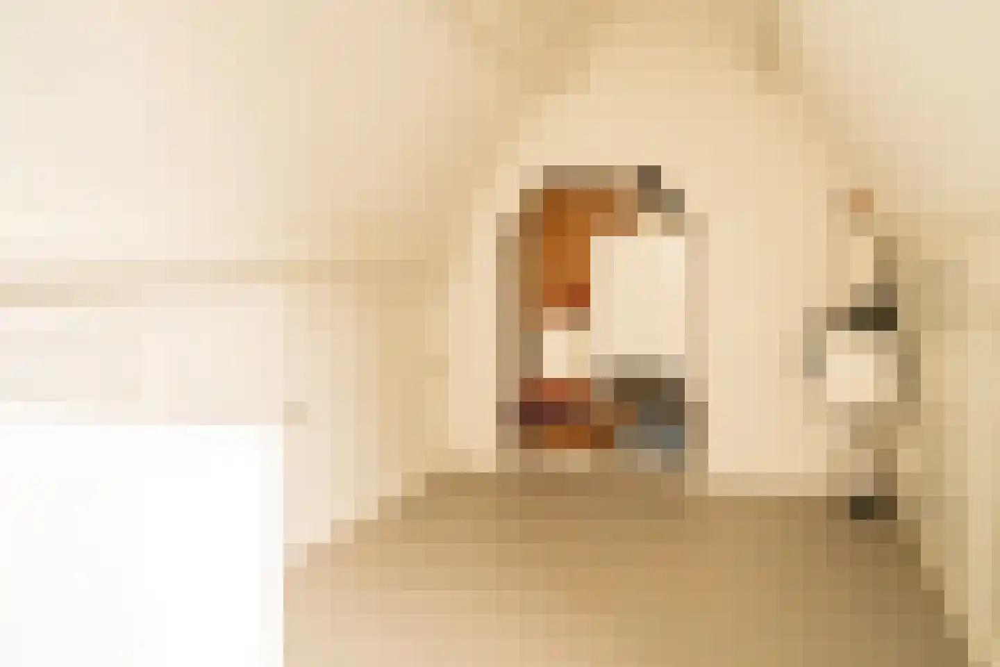 Acaciastraat 11 Opheusden thumbnail 47