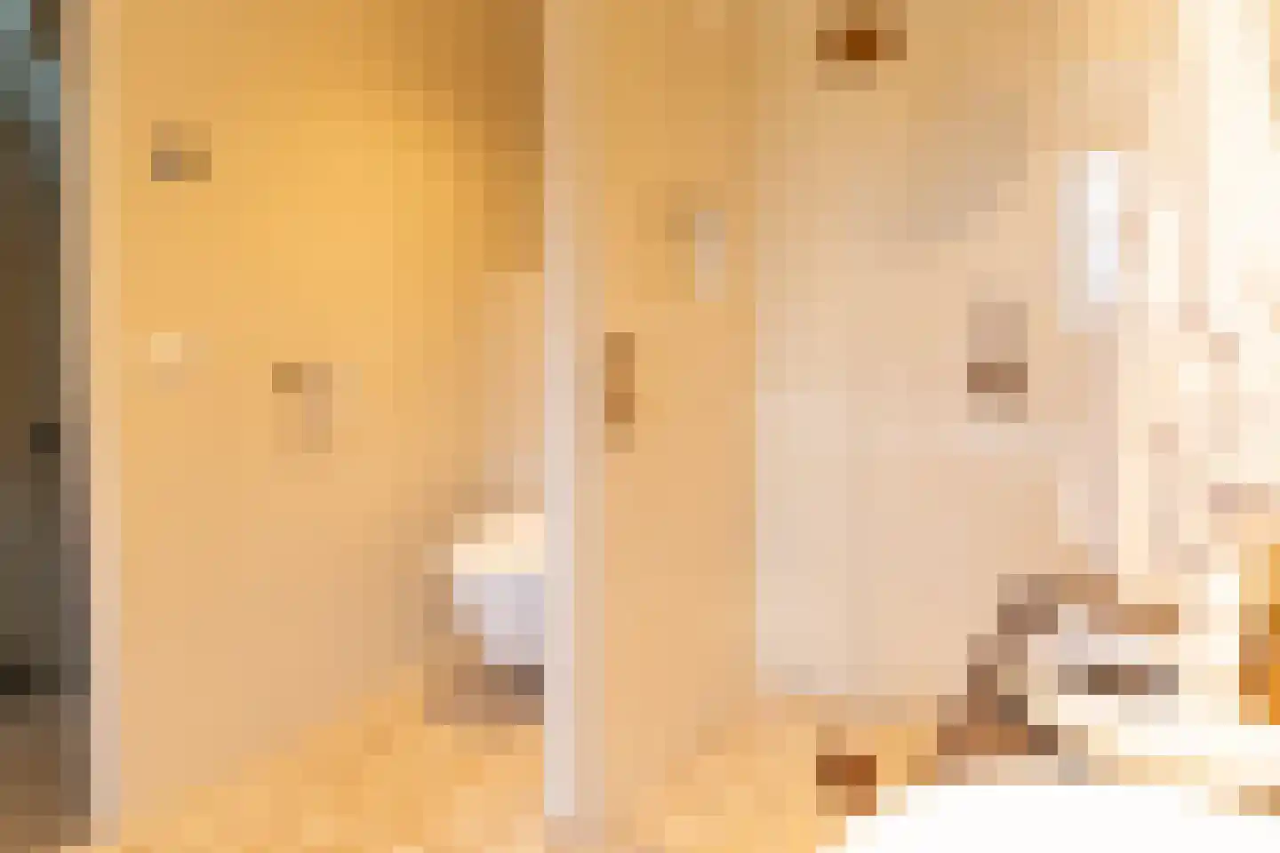 Acaciastraat 11 Opheusden thumbnail 49