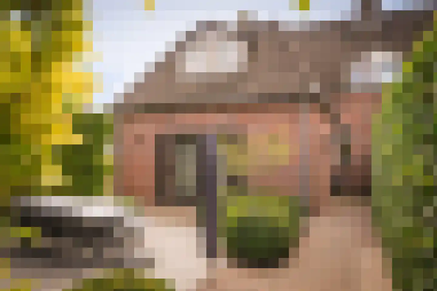 Acaciastraat 11 Opheusden thumbnail 5