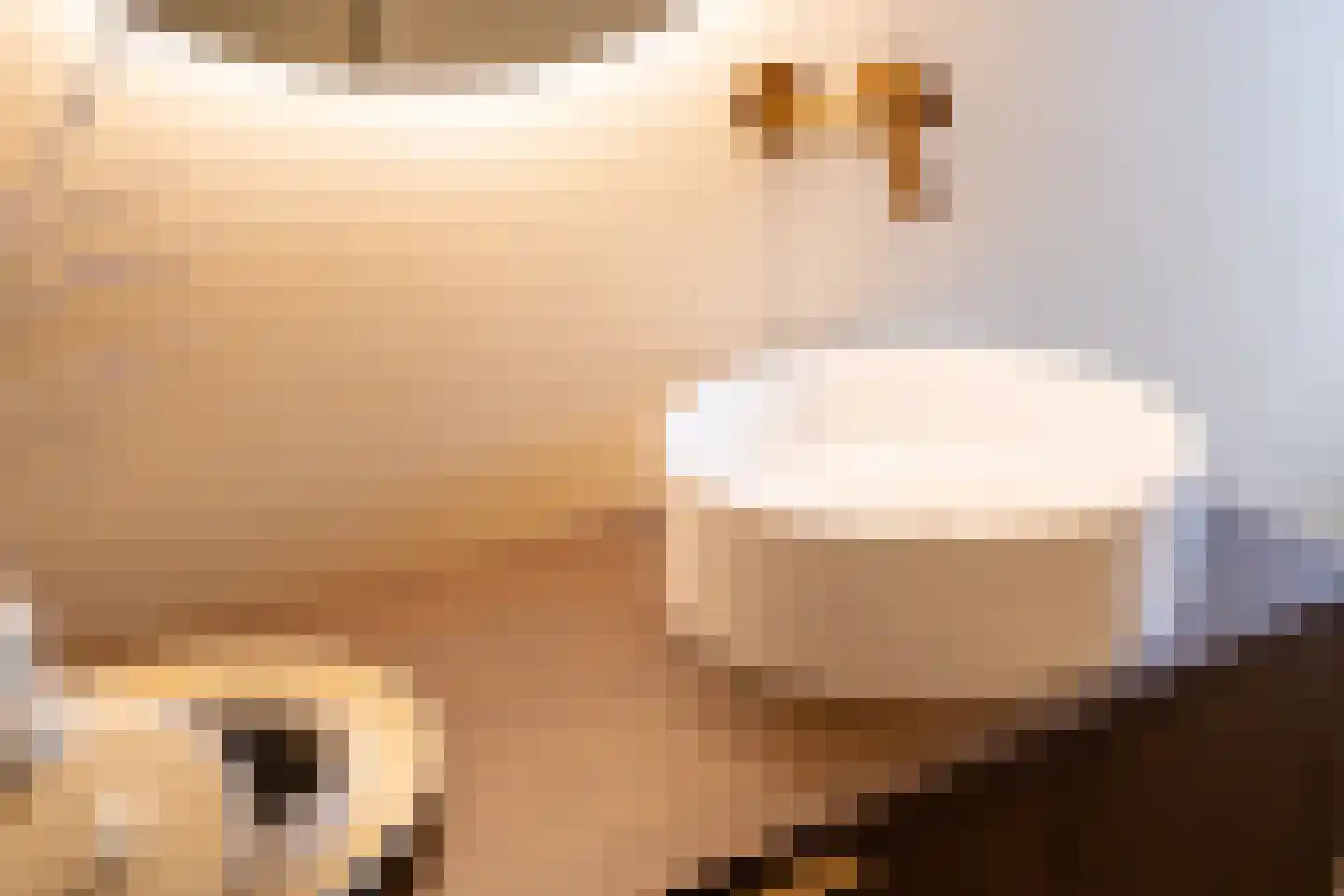 Acaciastraat 11 Opheusden thumbnail 51