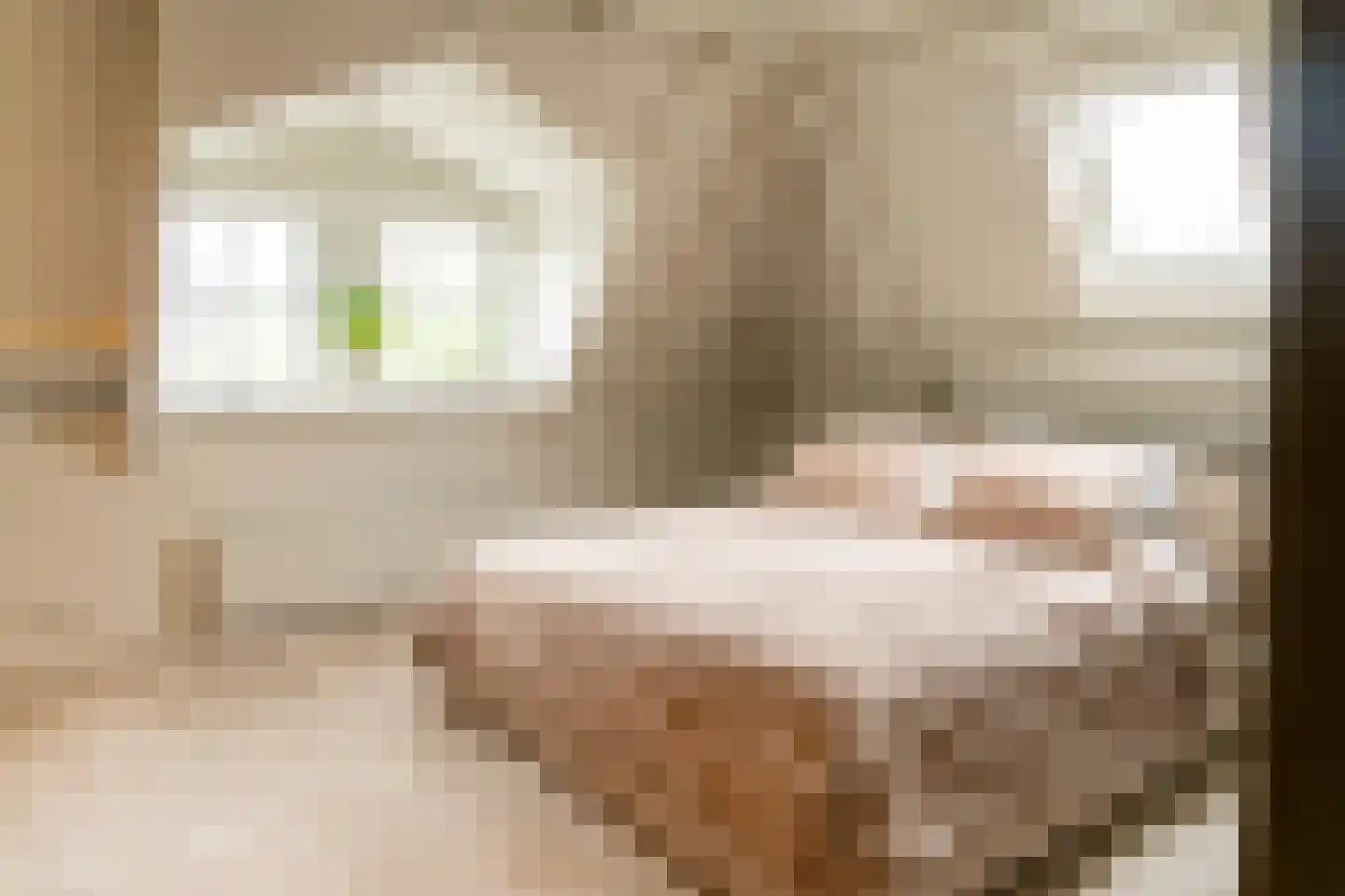 Acaciastraat 11 Opheusden thumbnail 56