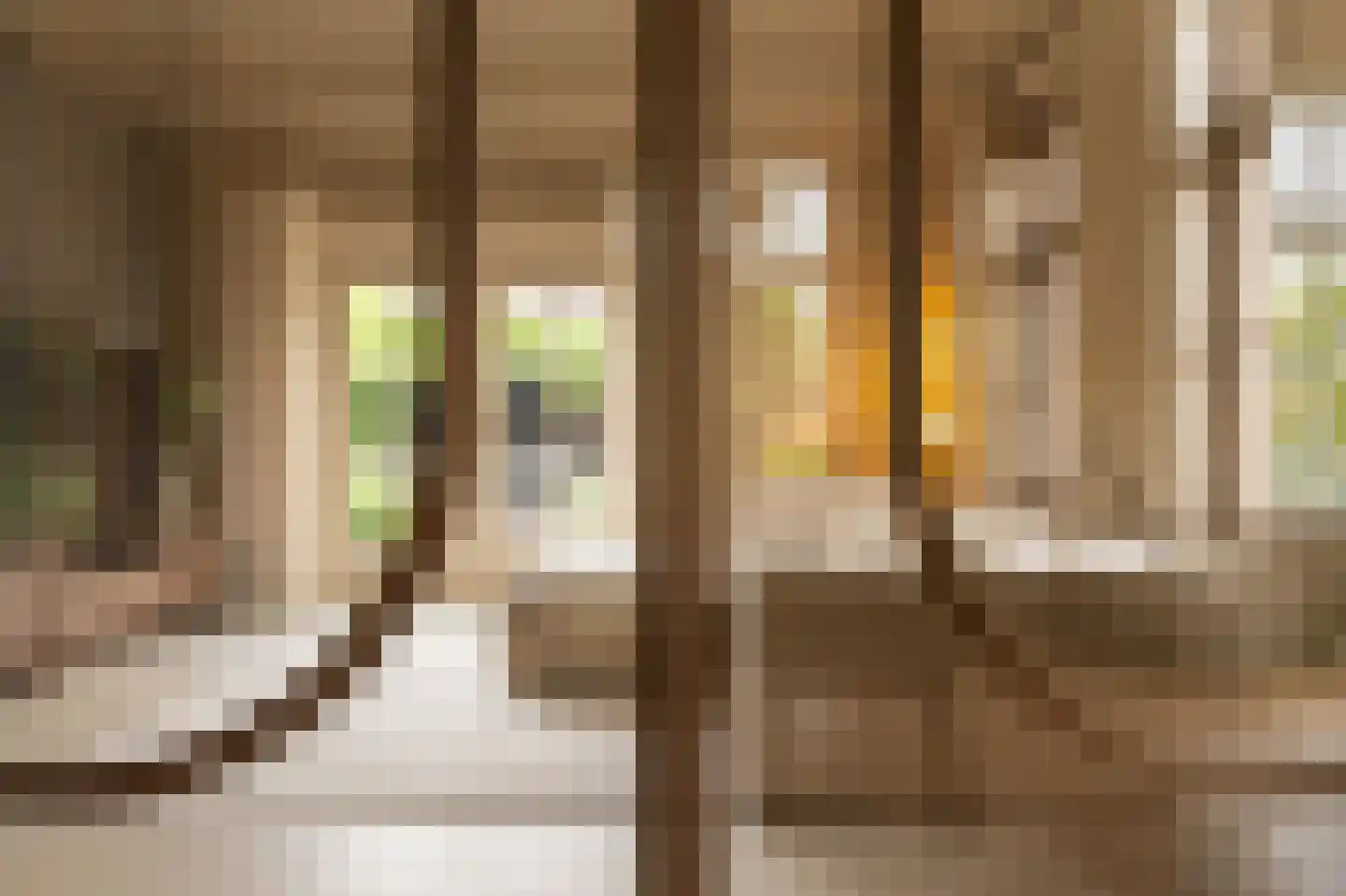 Acaciastraat 11 Opheusden thumbnail 6