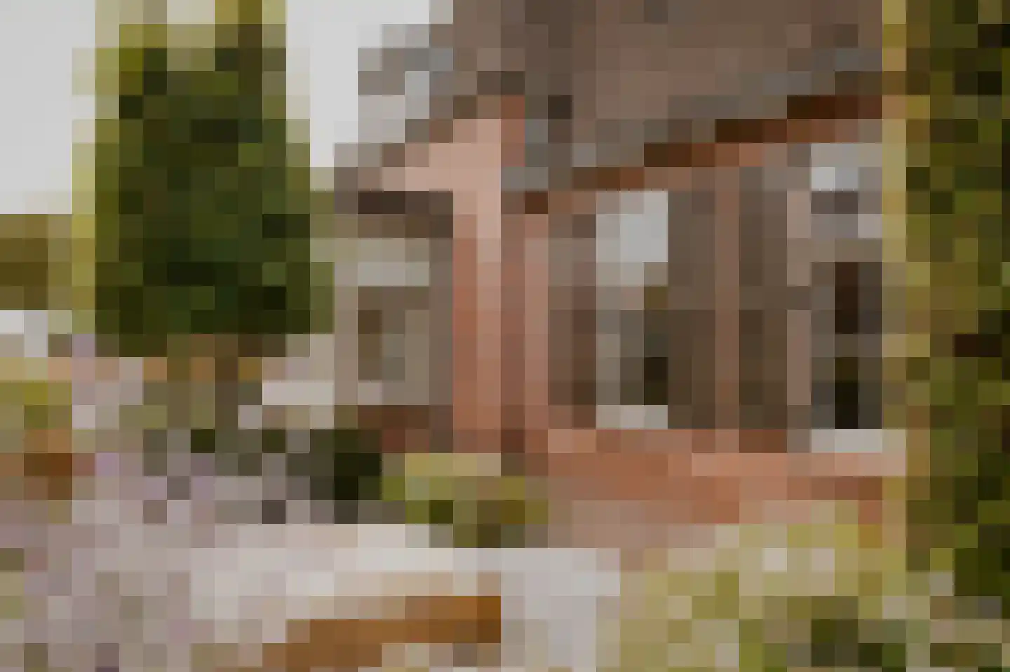 Acaciastraat 11 Opheusden thumbnail 62