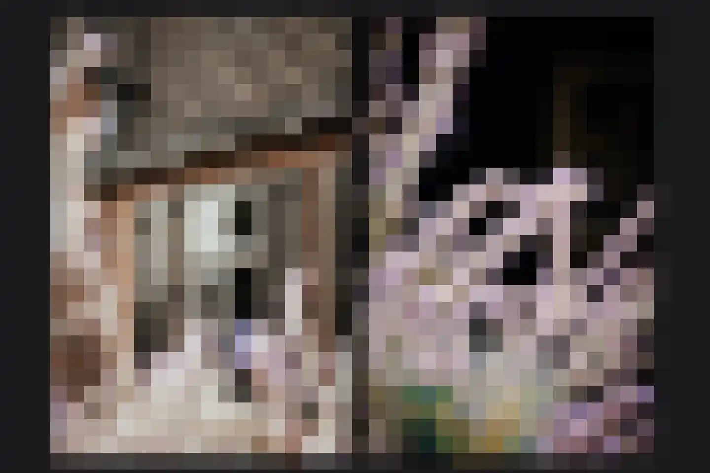 Acaciastraat 11 Opheusden thumbnail 63