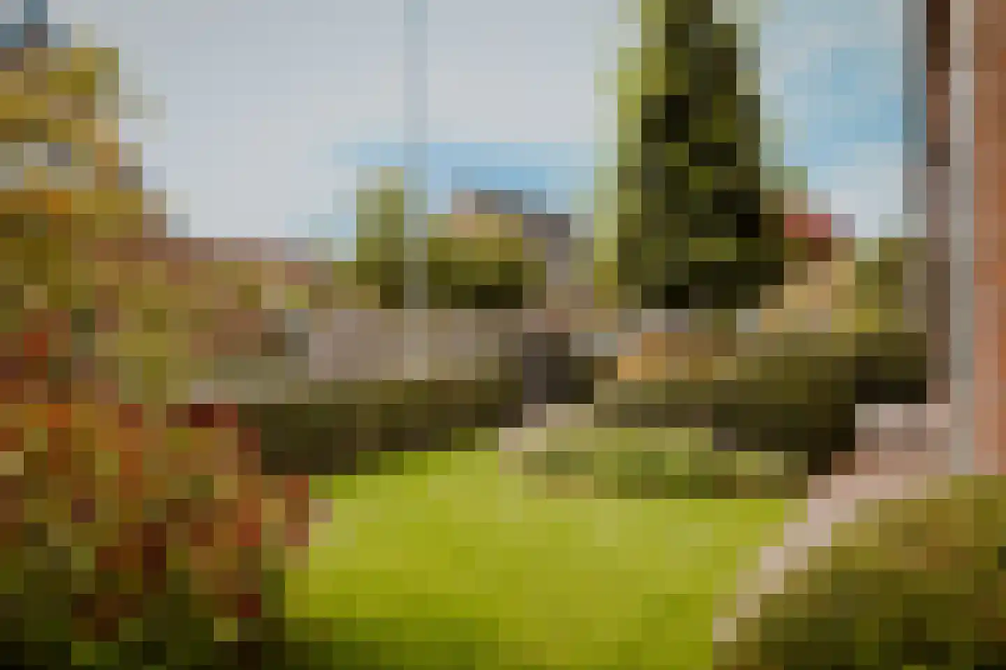 Acaciastraat 11 Opheusden thumbnail 67