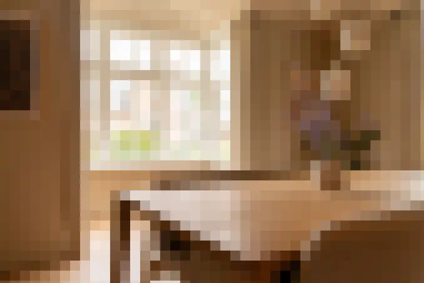 Acaciastraat 11 Opheusden thumbnail 7