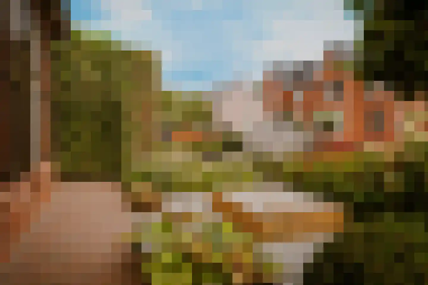 Acaciastraat 11 Opheusden thumbnail 71