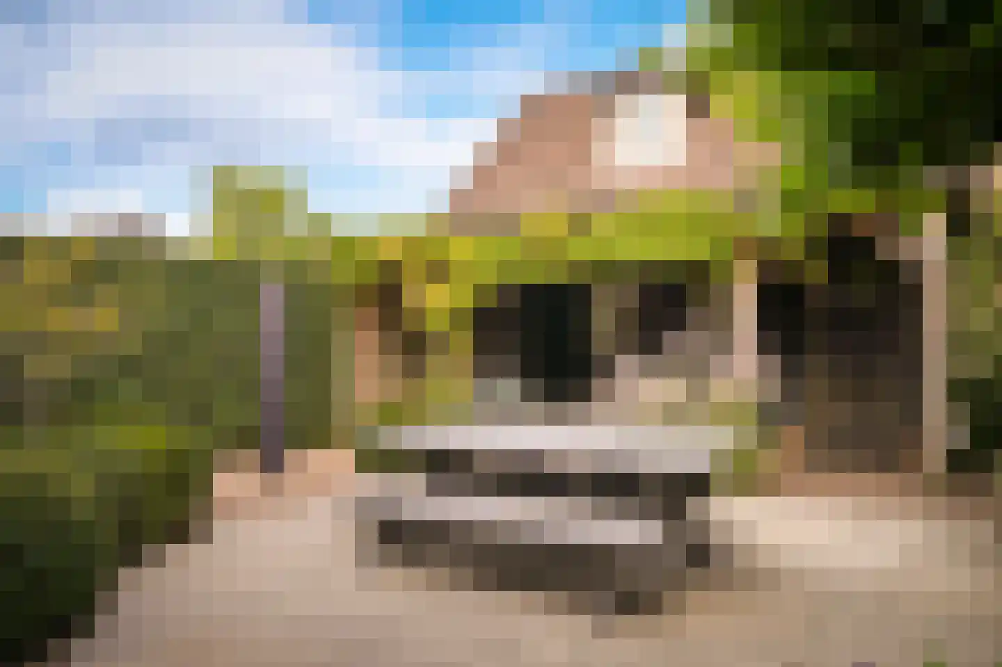 Acaciastraat 11 Opheusden thumbnail 72