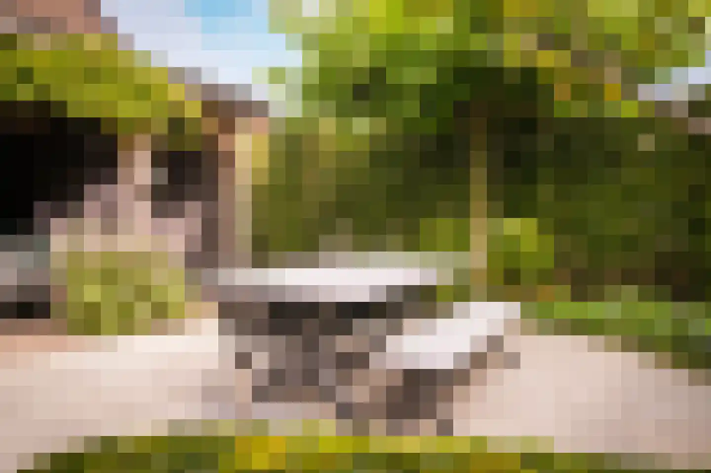 Acaciastraat 11 Opheusden thumbnail 73