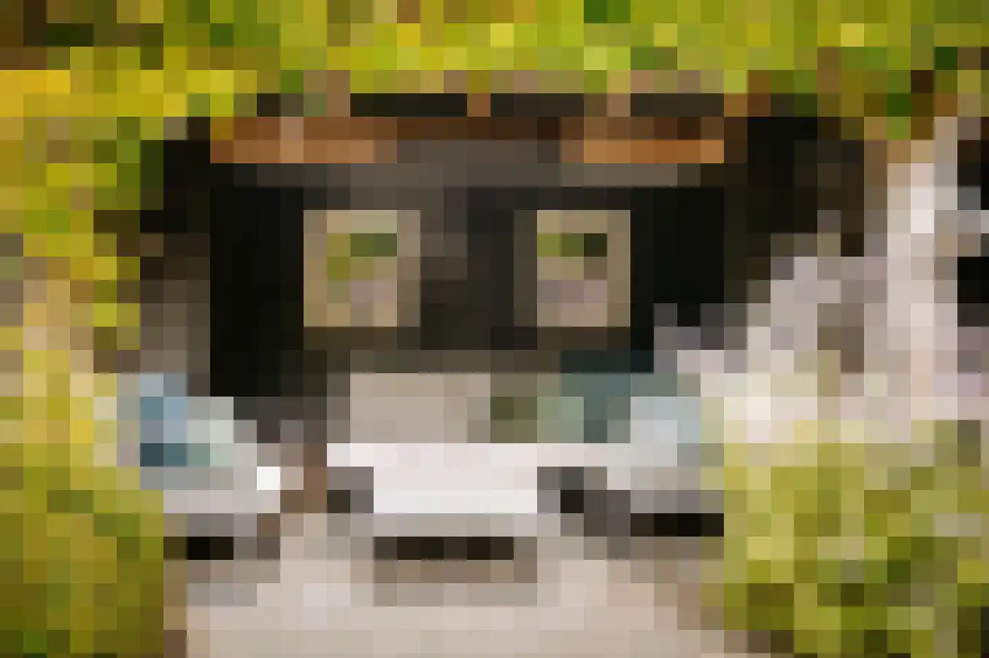 Acaciastraat 11 Opheusden thumbnail 74