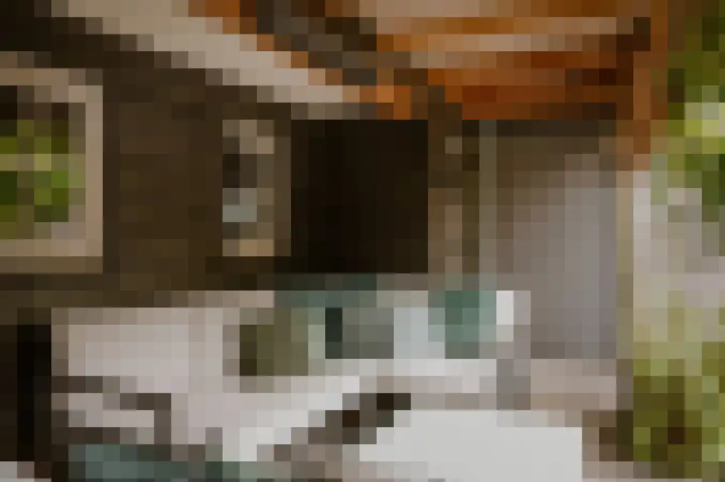 Acaciastraat 11 Opheusden thumbnail 75