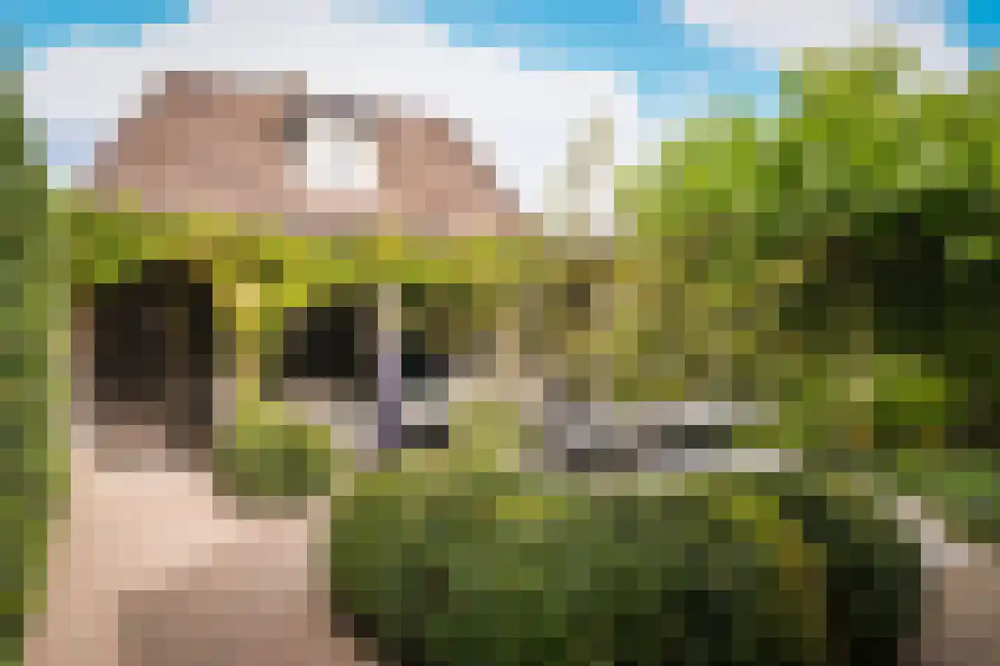 Acaciastraat 11 Opheusden thumbnail 78