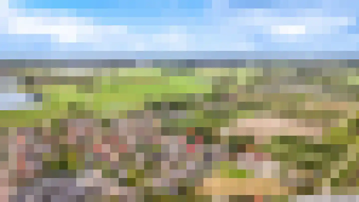 Acaciastraat 11 Opheusden thumbnail 87