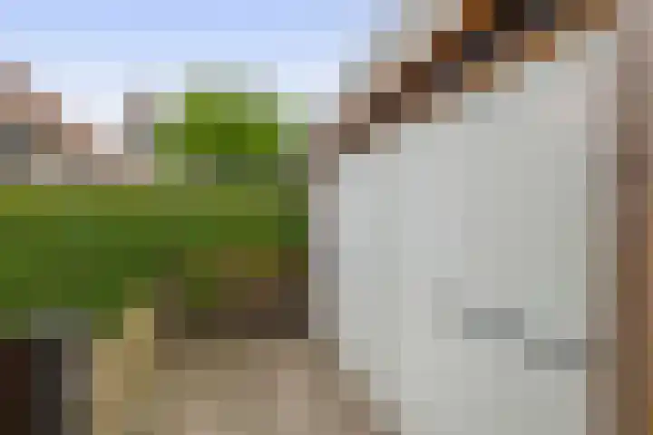 Acaciastraat 11 Oude Pekela thumbnail 30
