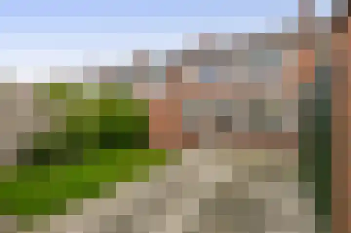 Acaciastraat 11 Oude Pekela thumbnail 33