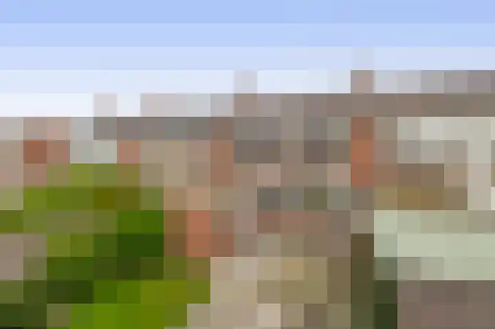 Acaciastraat 11 Oude Pekela thumbnail 34