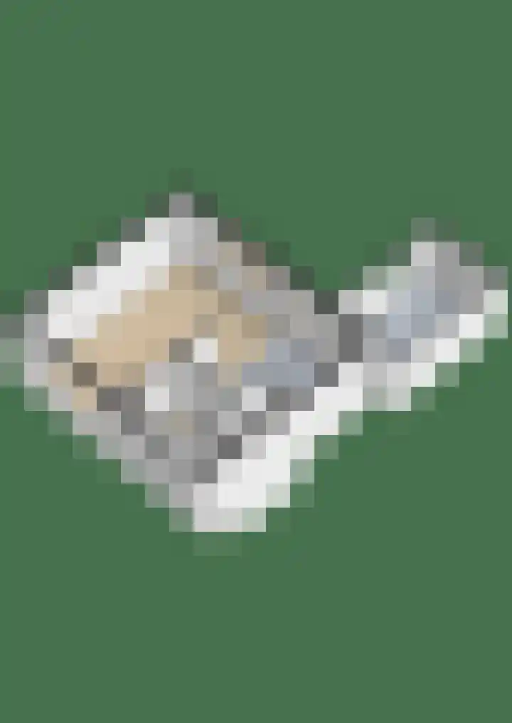 Acaciastraat 11 Oude Pekela thumbnail 36