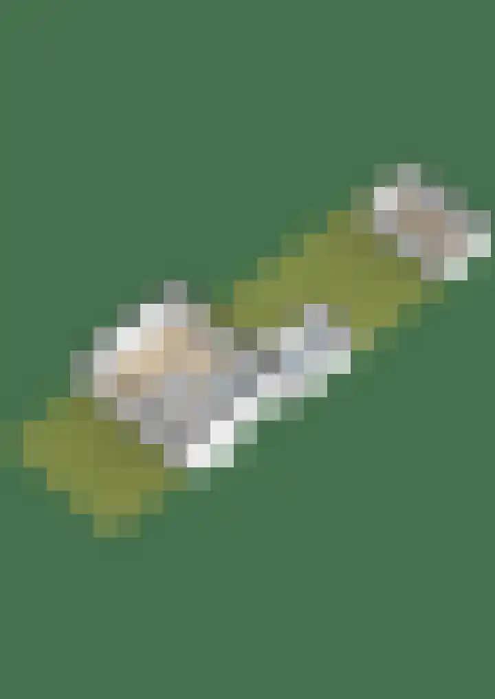 Acaciastraat 11 Oude Pekela thumbnail 44