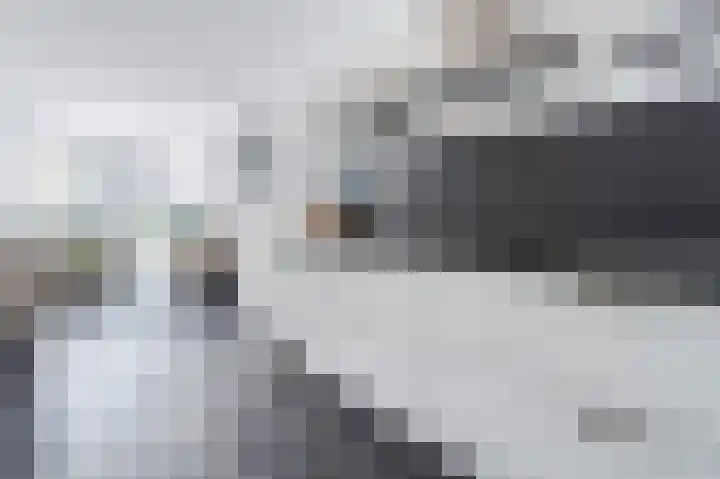 Acaciastraat 111 Breda thumbnail 13