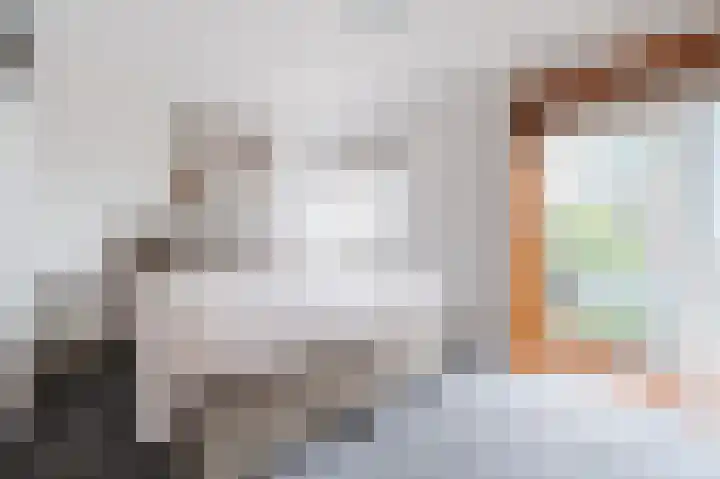Acaciastraat 111 Breda thumbnail 21