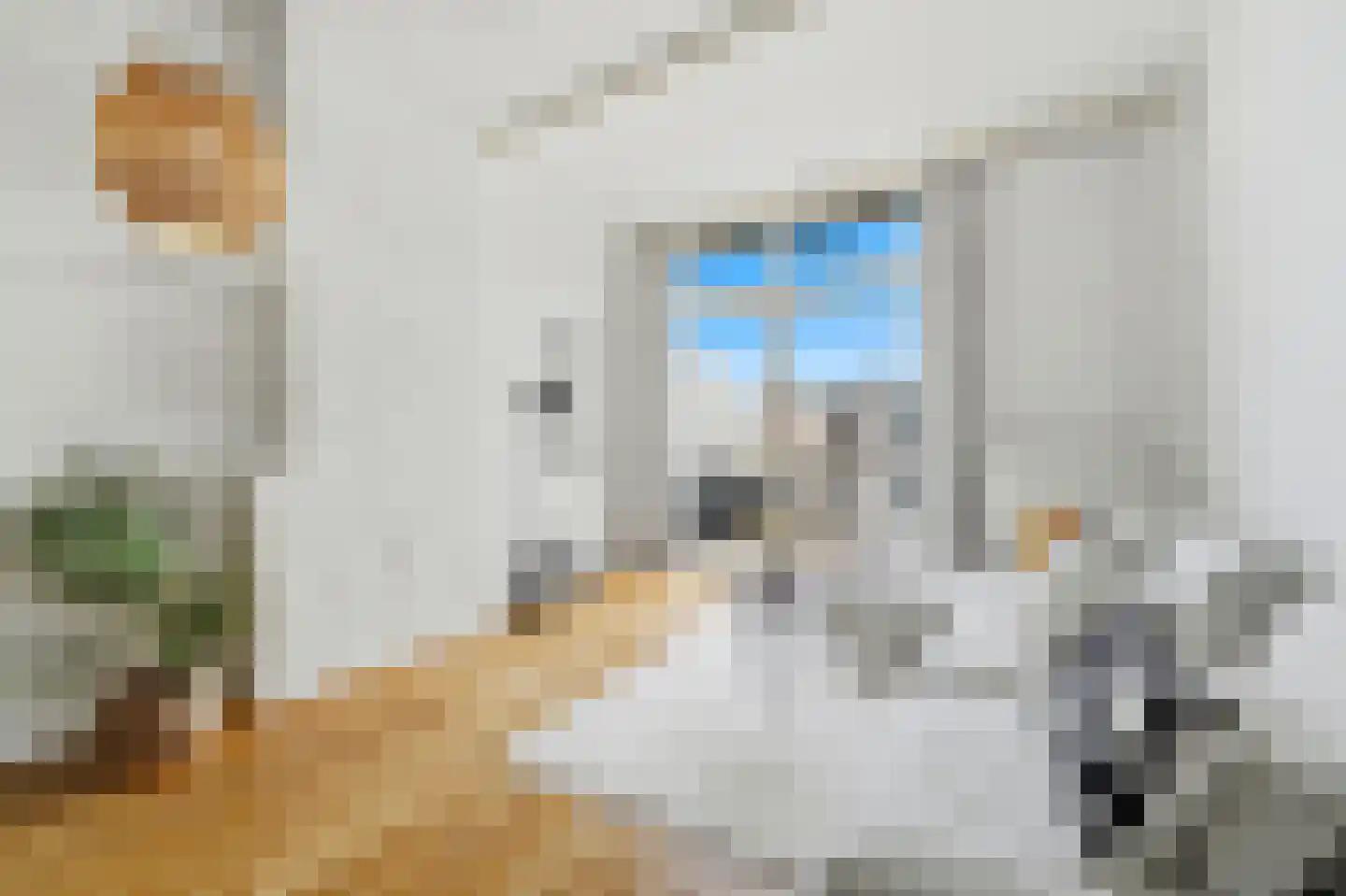 Acaciastraat 112 Den Haag thumbnail 8