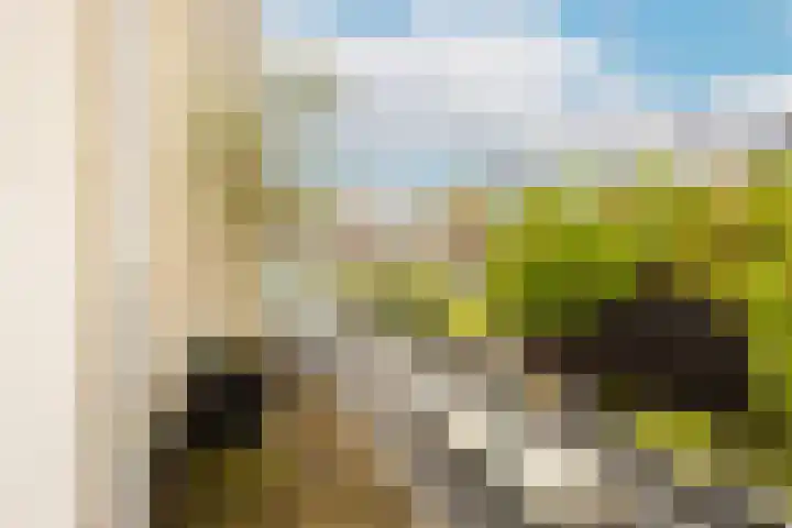 Acaciastraat 12 BS Utrecht thumbnail 11