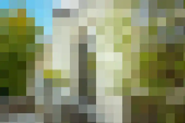 Acaciastraat 12 BS Utrecht thumbnail 12