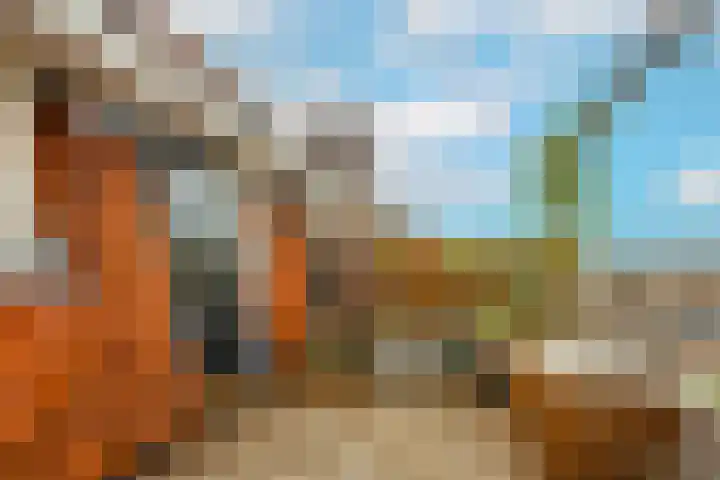 Acaciastraat 12 BS Utrecht thumbnail 22